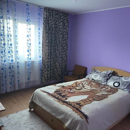 Sofia Rezidence Διαμέρισμα Dragasani Εξωτερικό φωτογραφία